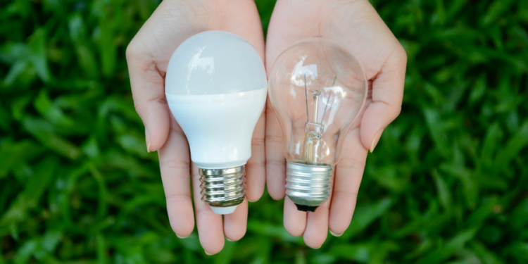 Light bulbs save money on electricity bill